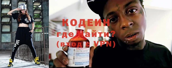 хмурый Белокуриха