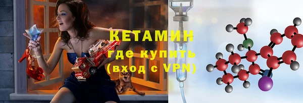 хмурый Белокуриха