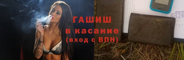 хмурый Белокуриха
