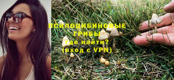 хмурый Белокуриха