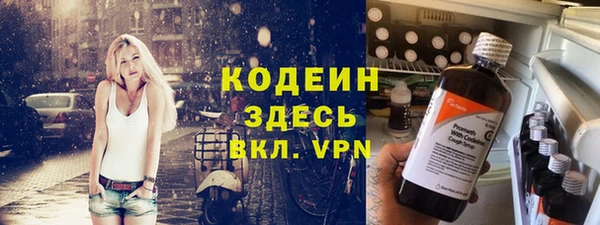 хмурый Белокуриха