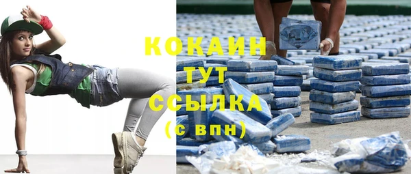 крисы Белоозёрский