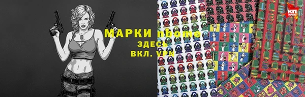 хмурый Белокуриха